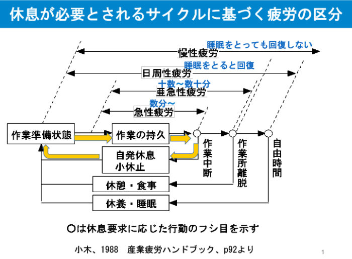 日本レコードセンター 厚木の新センター稼働 物流ニュース 物流ウィークリー 物流 運送 ロジスティクス業界の総合専門紙