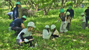 群ト協　「トラックの森」整備、保護と育成に取り組む