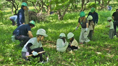 群ト協　「トラックの森」整備、保護と育成に取り組む